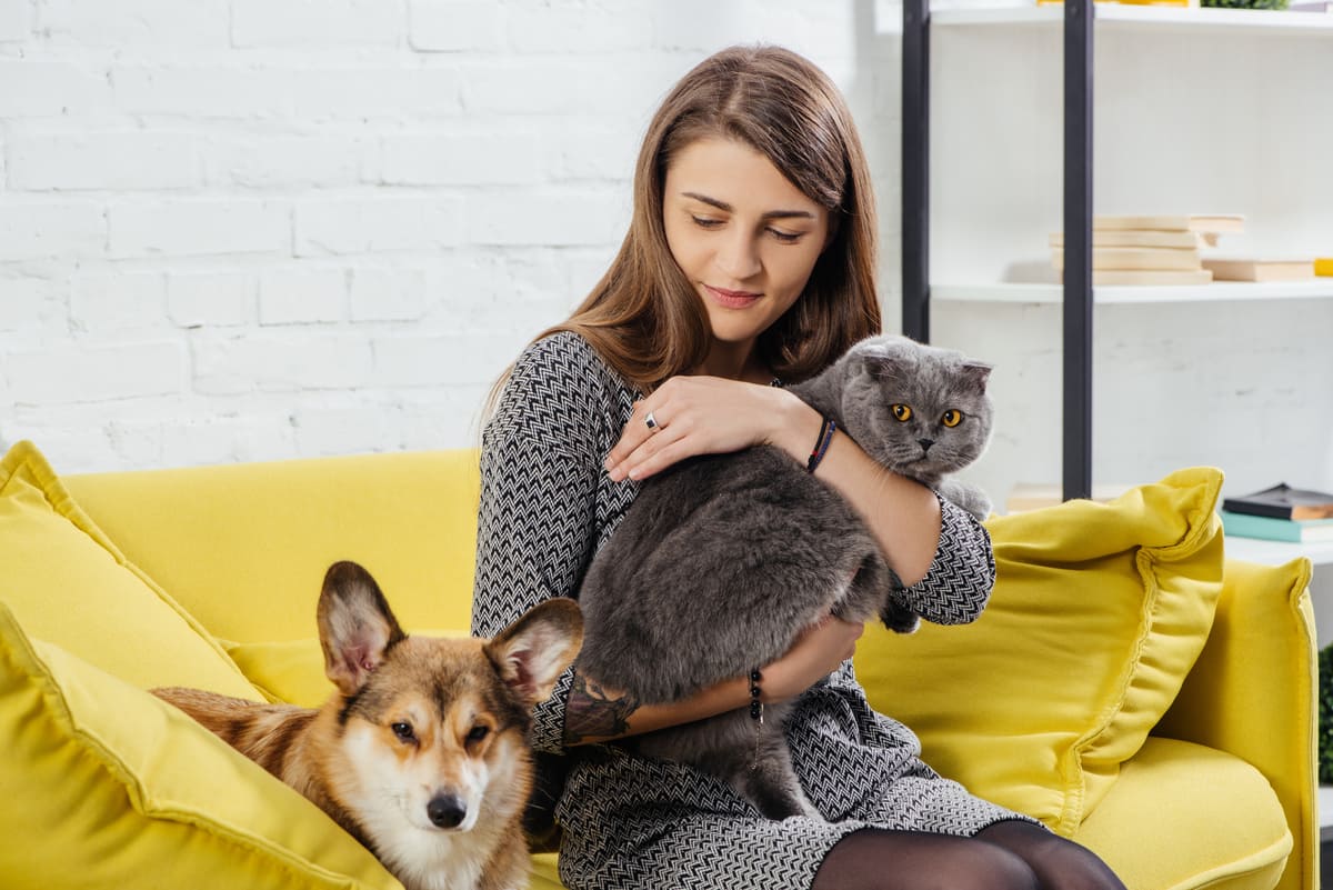 A woman sitting on the couch with pets
