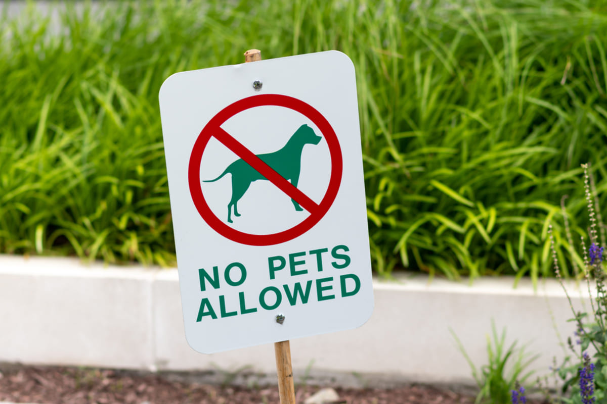 A No Pets Allowed sign, pet policy for rental property