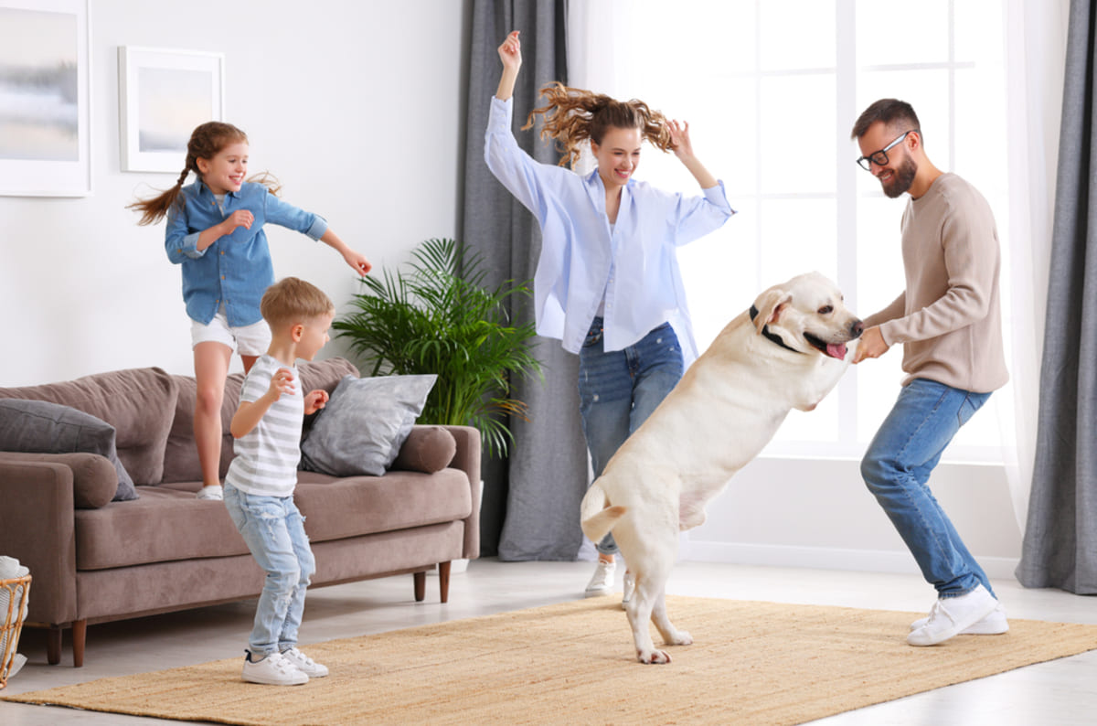 An excited family with a pet in a home, pet policy for rental property concept