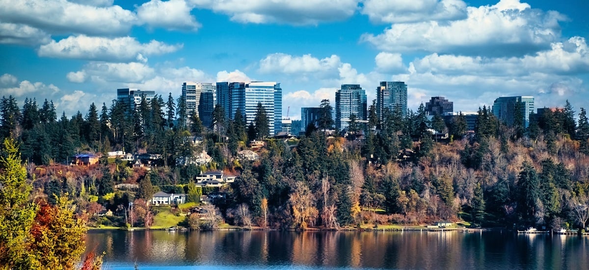 Scenic view of Bellevue with skyscrapers hidden behind trees across Lake Washington
