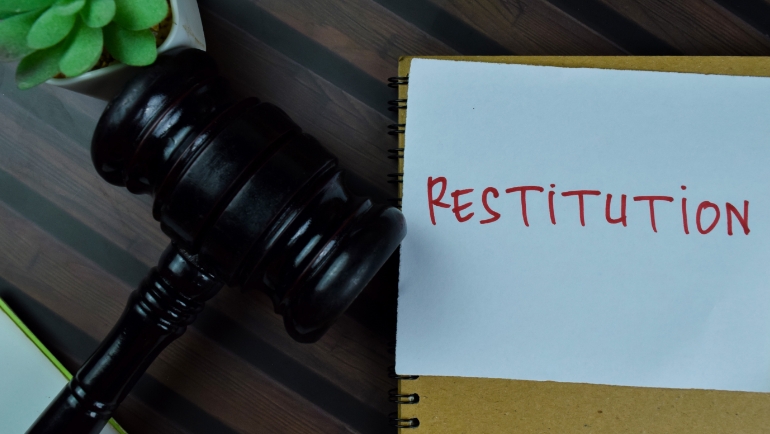 img-restitution