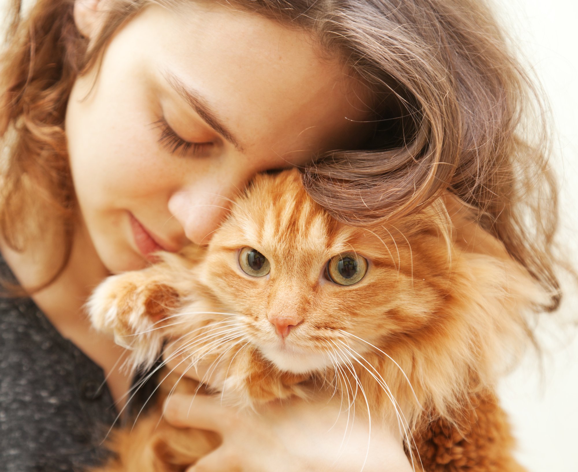 Portrait of beautiful young woman 20 years with a fluffy red cat