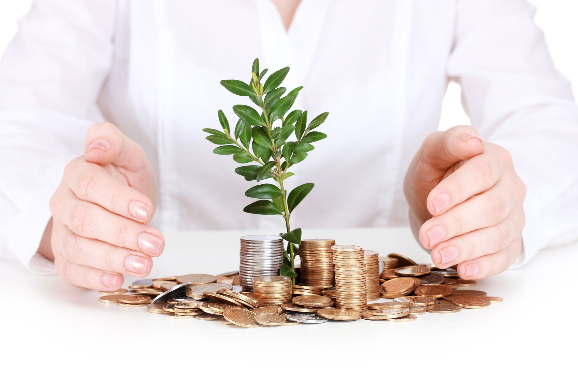 Woman hands with coins and plant