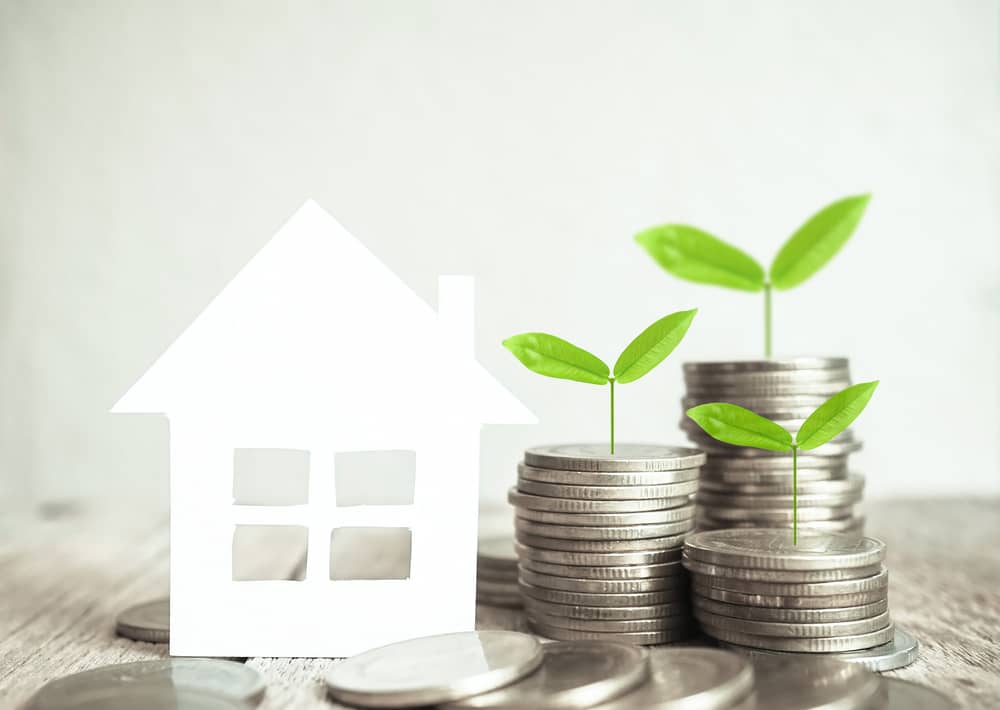 house model and growing plant on row of coin money for finance